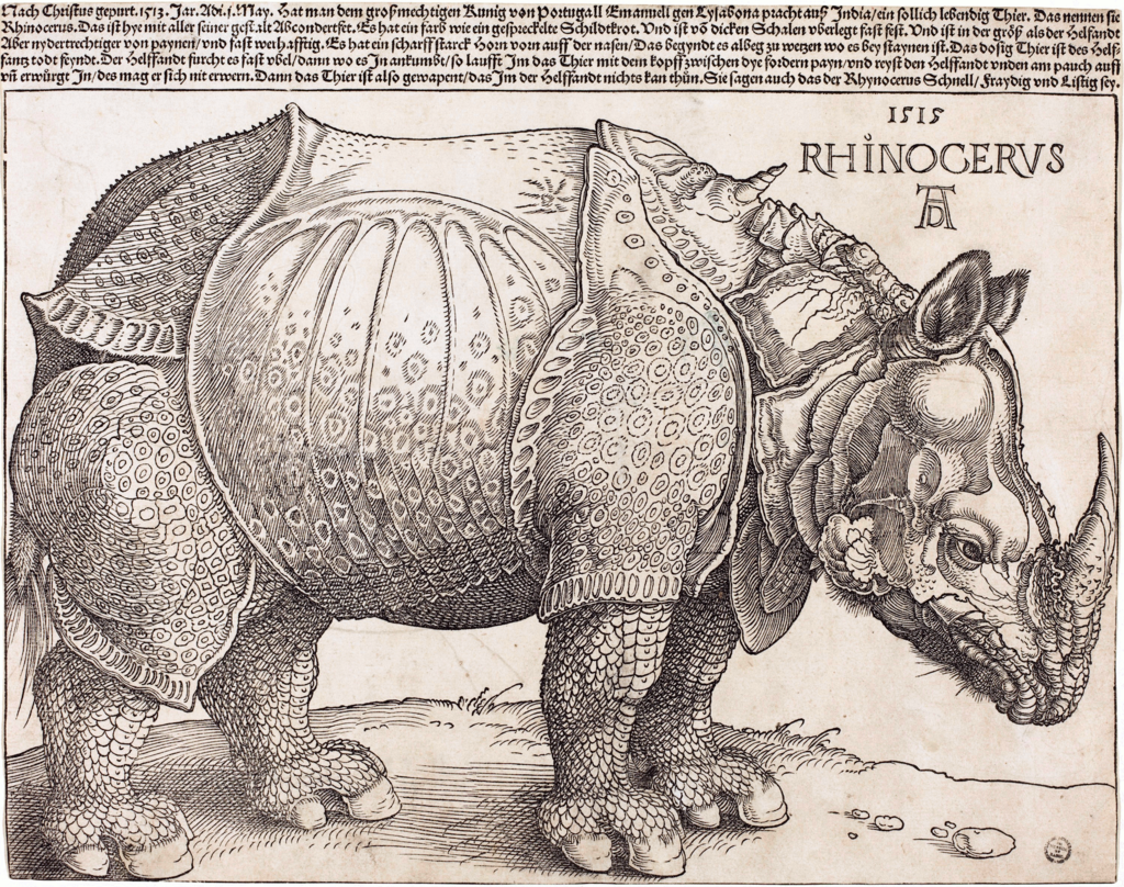 Rhinoceros by Albrecht Durer as made in 1515